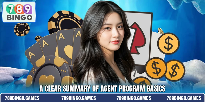 A clear summary of agent program basics